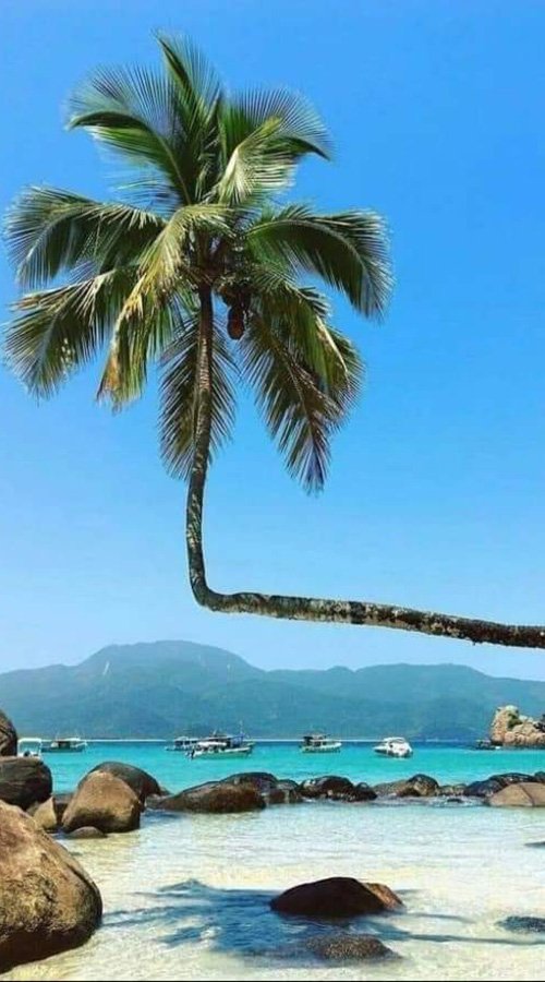 Angra_01